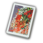 Sepal Serene by Dealersgrip